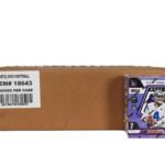 2025 Panini Mosaic Football Hobby Mega (Red Camo Mosaic!) 20-Box Case